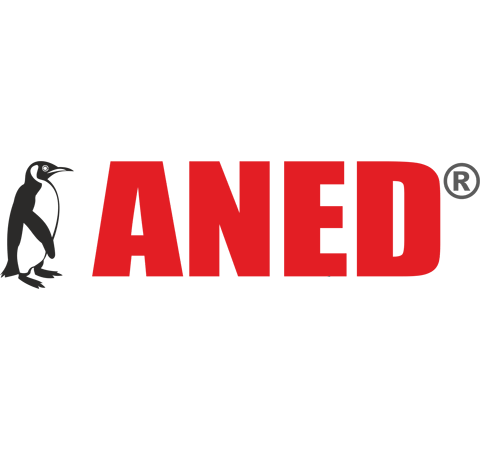 Aned